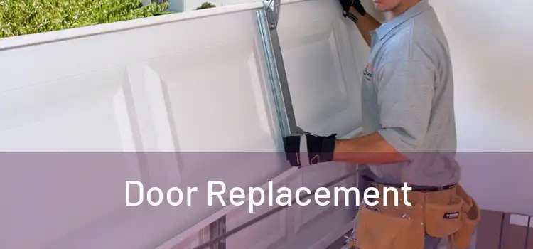  Door Replacement 